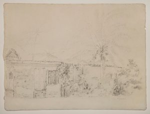 Maisons et Palmiers - Camille Pissarro