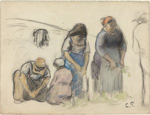 Récolteurs de pois [recto] - Camille Pissarro