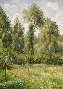 Peupliers, Éragny, 1895
