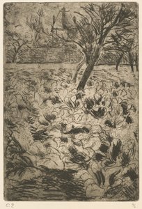 Le champ de choux - Camille Pissarro