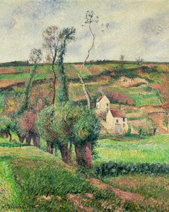 Les pentes de choux, Pontoise - Camille Jacob Pissarro