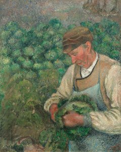 Le jardinier - Vieux paysan avec un chou - Camille Pissarro