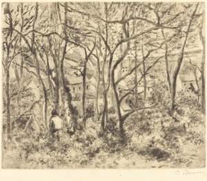Paysage boisé à L
