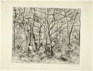 Bois à l