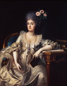 Portrait de Marie-Caroline d