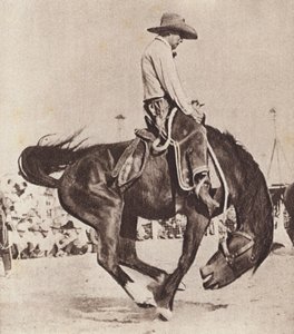 Cow-boy chevauchant un bronco (photo n/b)