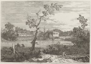 Vue d