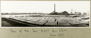 Vue du Nil depuis le quartier général de la N.Z.M.F.A., Le Caire, juin 1917 - Capt. Arthur Rhodes
