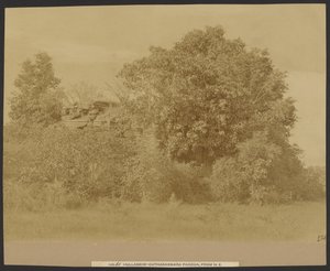 Hullabede - Pagode Catharaswama, depuis le nord-est - Capt. Linnaeus Tripe
