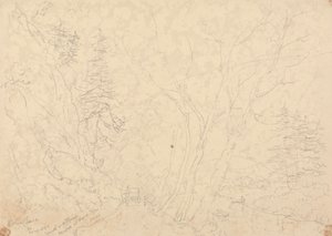 Holne Chase, 30 mai 1833