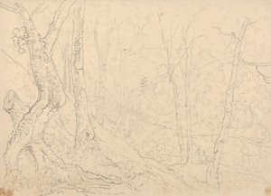 Dans les étangs à poissons près de Hastings - Capt. Thomas Hastings