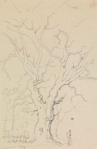 Sur la route de Newport, 12 février 1826