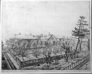 Vue du verger à l