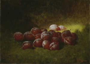 Prunes violettes - Carducius Plantagenet Ream