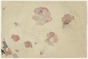 Études de fleurs en violet et rose - Carel Adolph Lion Cachet