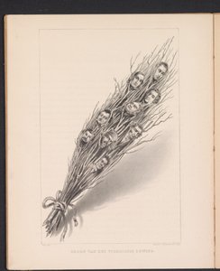 Fouet avec les têtes des membres du gouvernement provisoire français, 1848