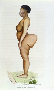 La Vénus hottentote, femme bushman, de 
