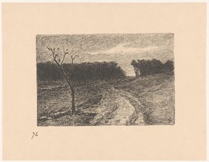 Lisière de forêt