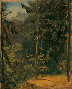 Chemin forestier dans le Harz - Carl Blechen