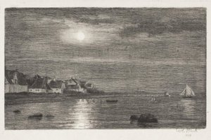 Paysage côtier à Hellebæk. Clair de lune - Carl Bloch