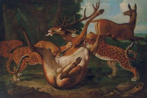 Léopards attaquant des cerfs dans un paysage - Carl Borromaus Andreas Ruthart