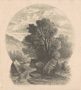 Petite cascade - Carl C. Brenner