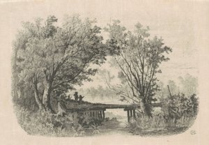 Saules