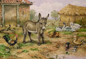 Âne et volaille de ferme
