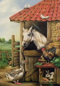 Amis de la ferme