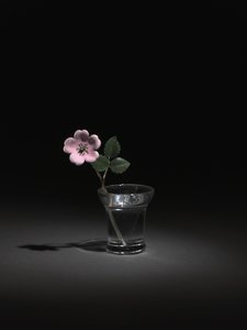 Rose sauvage, fin des années 1800-début des années 1900