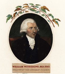 Portrait de William Withering, médecin et botaniste