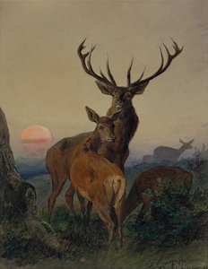 Un cerf avec une biche dans un paysage boisé au coucher du soleil - Carl Friedrich Deiker