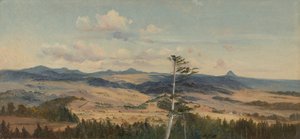 Paysage de l