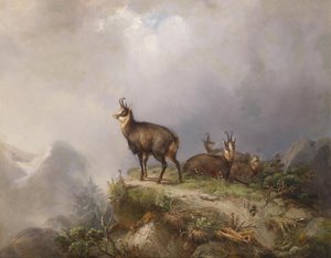 Carl Ockert Chamois