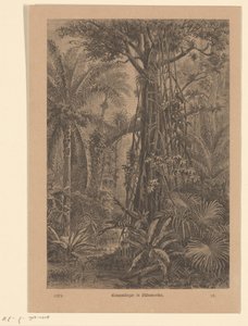 Paysage forestier - Carl Gottlob Specht