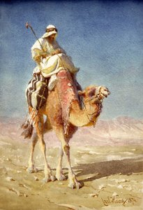 Un Bédouin sur le dos d