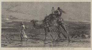 Bonheur dans le Désert - Carl Haag