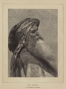Le Cheikh