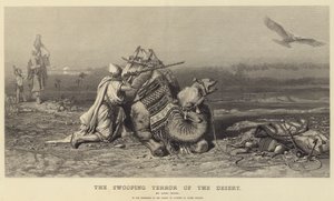 La terreur plongeante du désert