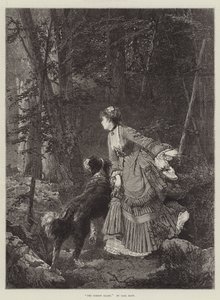 La clairière de la forêt