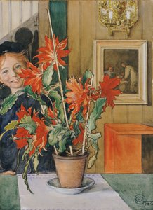 Le Cactus de Brita, 1904 - Carl Larsson