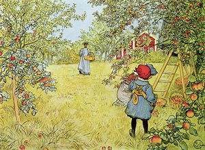 La récolte des pommes