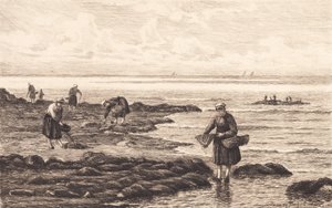 Pêcheurs de crevettes en Bretagne