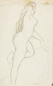 Nu féminin - Carl Newman