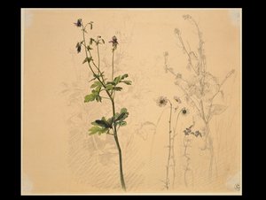  - Carl Philipp Fohr