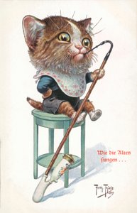 Carte postale humoristique de chat - Carl Robert Arthur Thiele