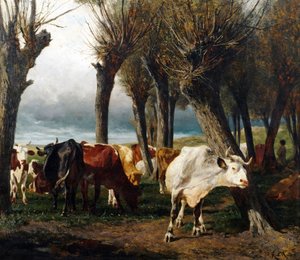 French : Troupeau de bovins sous les saules têtards.