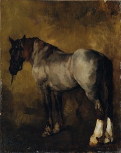 Étude de cheval