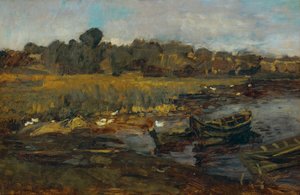 Paysage de roseaux au Schwielowsee avec des canards - Carl Schuch