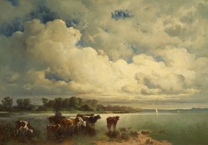 Paysage aquatique avec vaches